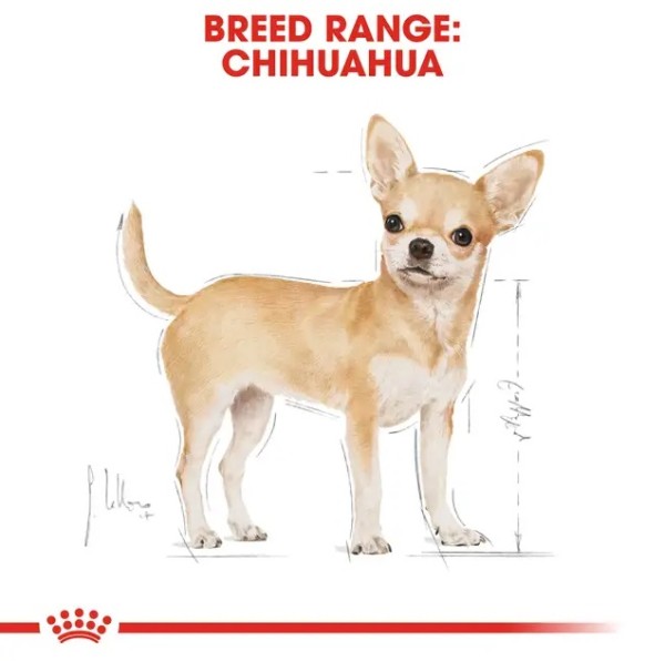 Royal Canin Chihuahua Pouch - Пълноценна мокра храна в пауч за чихуахуа в зряла възраст над 10 месеца